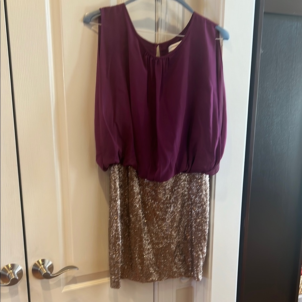 Purple and Gold Sequin Dress
